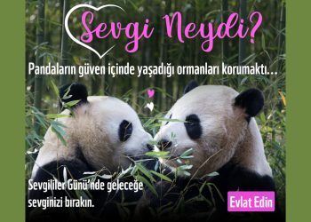 Geleceğe sevginizi bırakın!